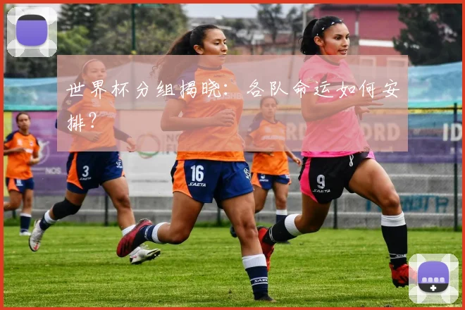 世界杯分组揭晓:各队命运如何安排?